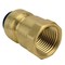 Apollo 1/2 in. Brass Push-To-Connect Female Pipe Thread Adapter Jar (6-Pack), 6PK FSBFA126JR - alternate 7